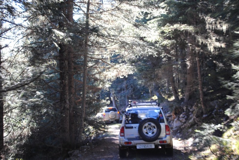 DSC_5355.jpg