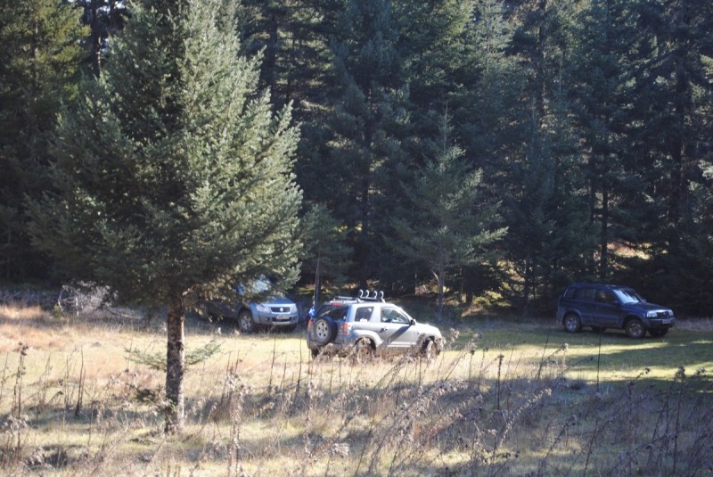 DSC_5383.jpg