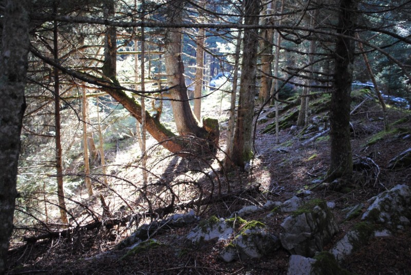 DSC_5385.jpg