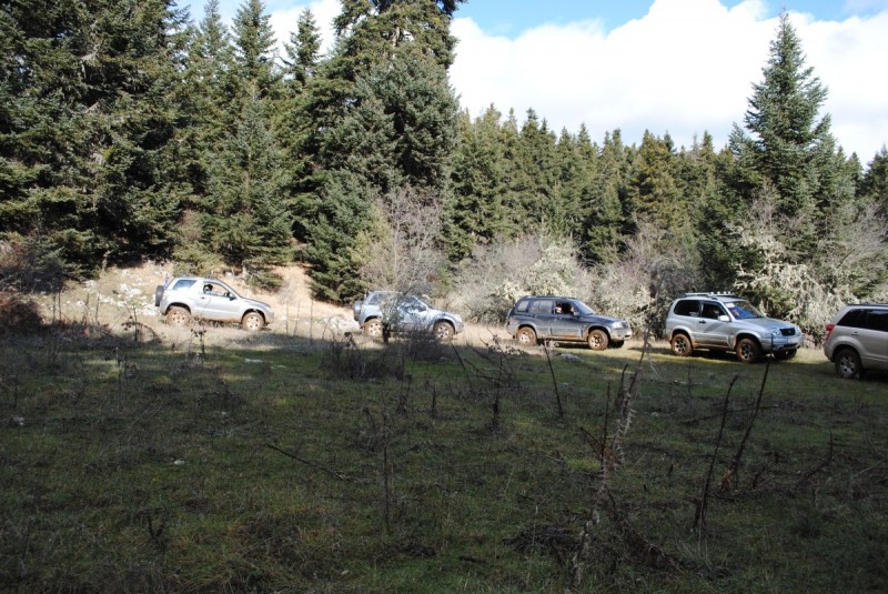DSC_5388.jpg