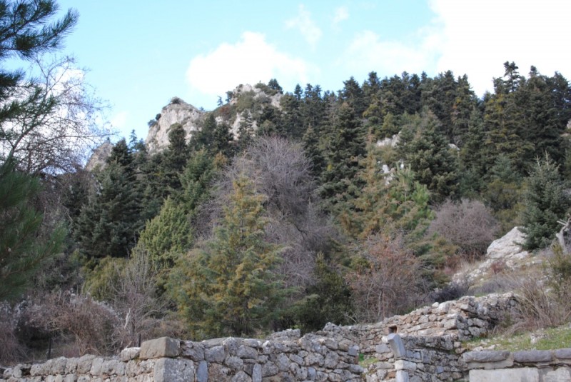 DSC_5434.jpg