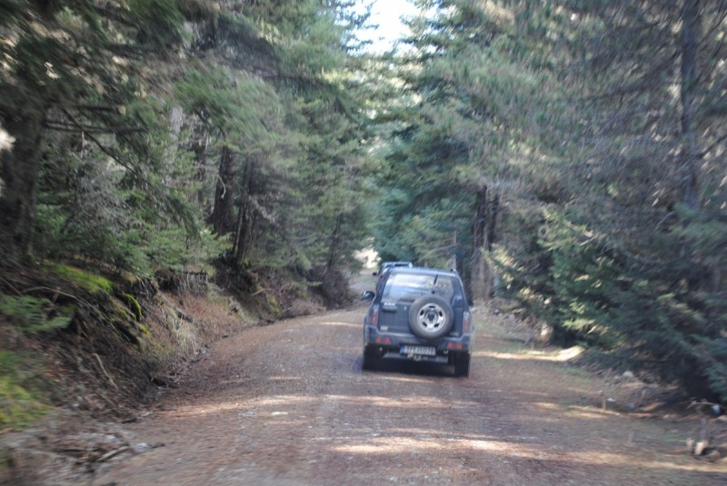 DSC_5444.jpg