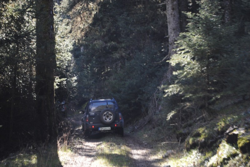 DSC_5450.jpg