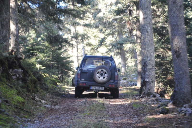 DSC_5455.jpg