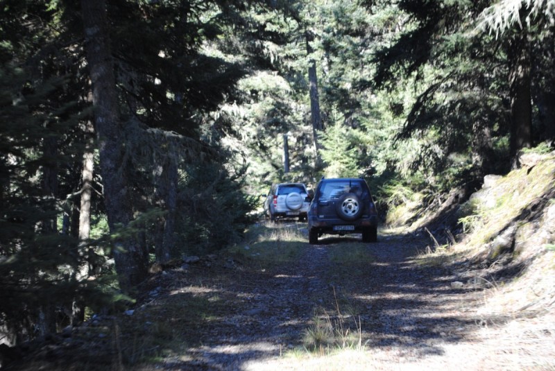 DSC_5457.jpg