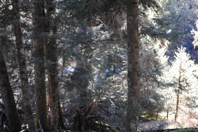 DSC_5467.jpg