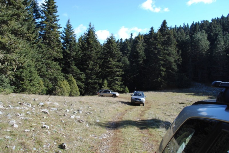 DSC_5476.jpg