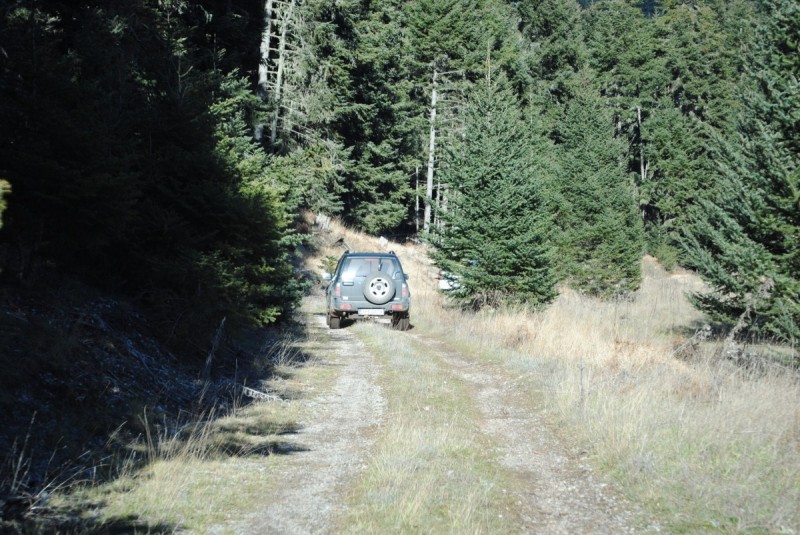 DSC_5479.jpg