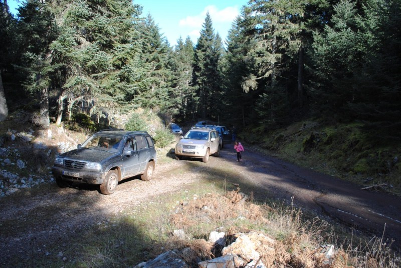 DSC_5486.jpg