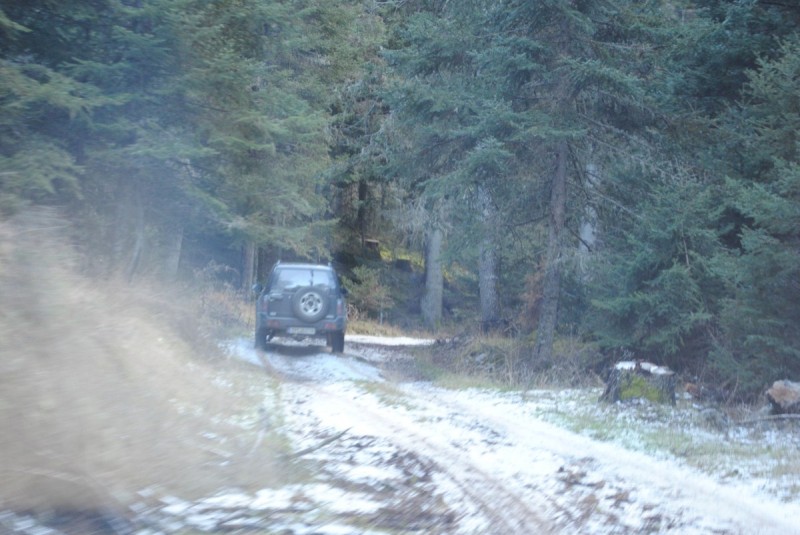 DSC_5496.jpg