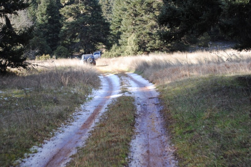 DSC_5501.jpg