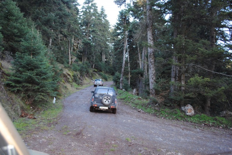 DSC_5508.jpg