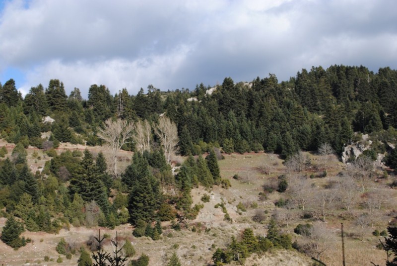 DSC_5523.jpg