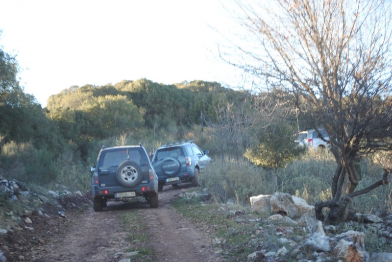 DSC_5598.jpg