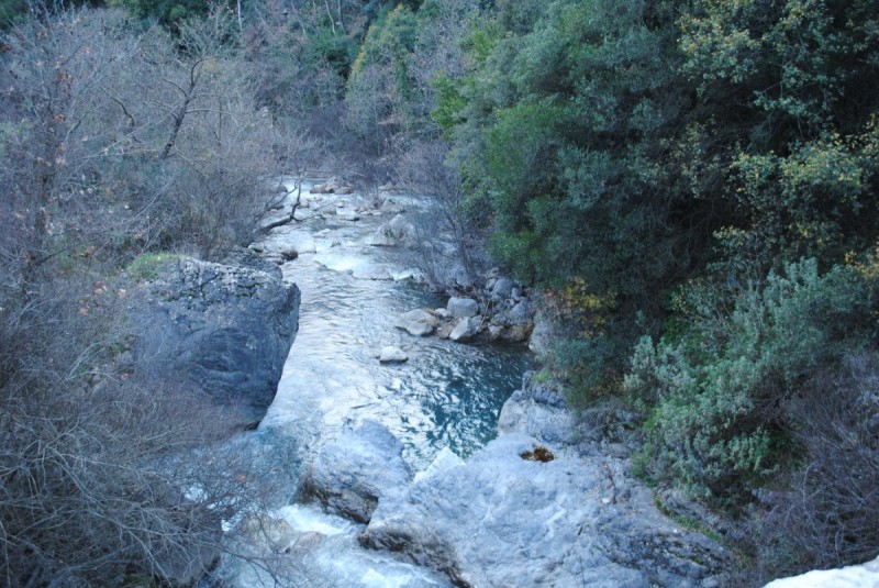 DSC_5647.jpg