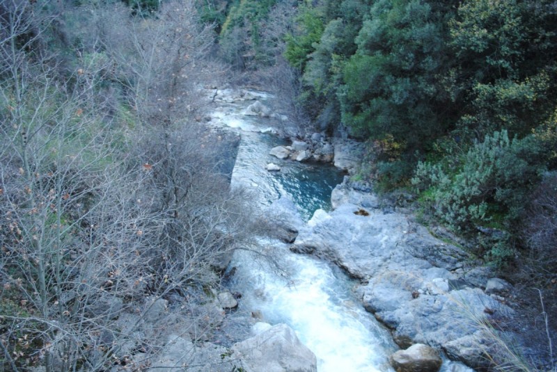 DSC_5649.jpg