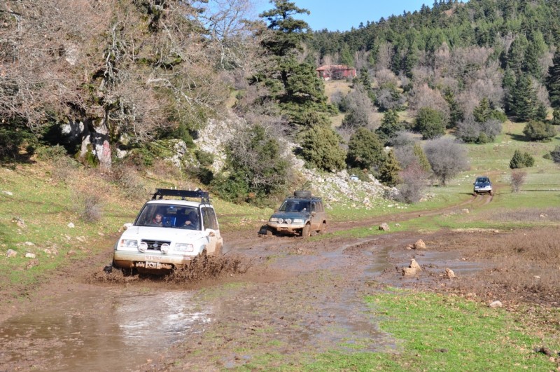 DSC_3340jpg.jpg