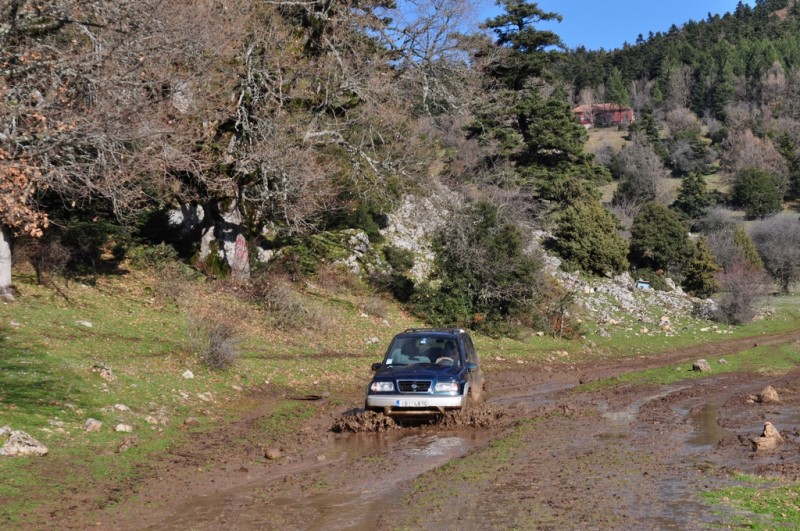 DSC_3345jpg.jpg