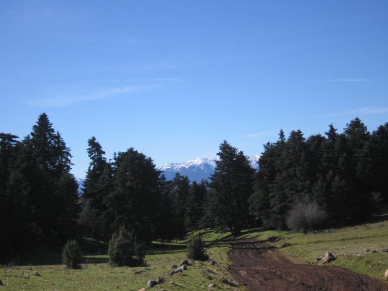 IMG_9631.jpg