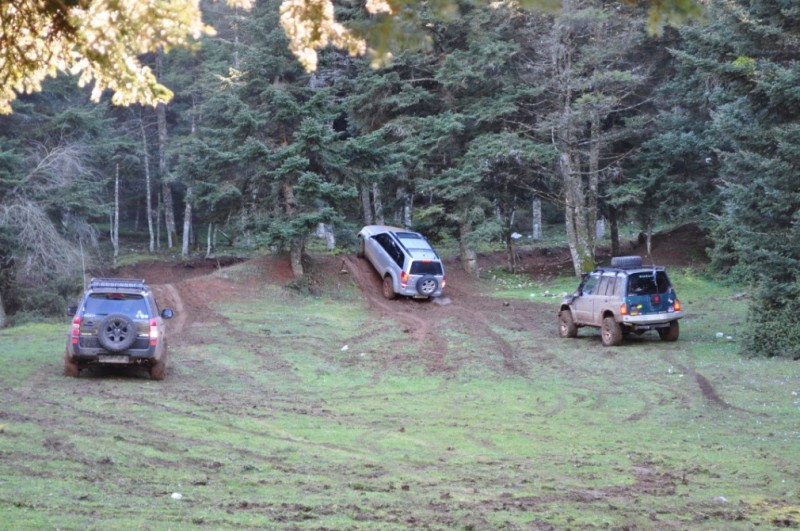 DSC_6325.jpg