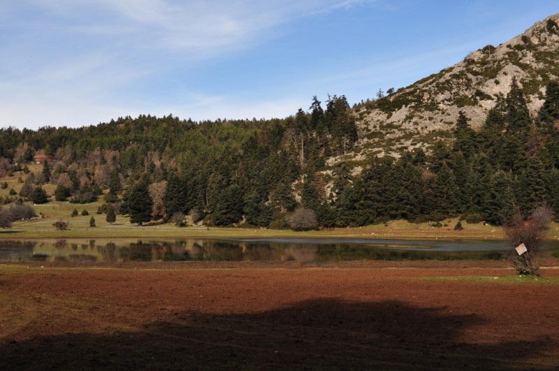 DSC_3105jpg.jpg