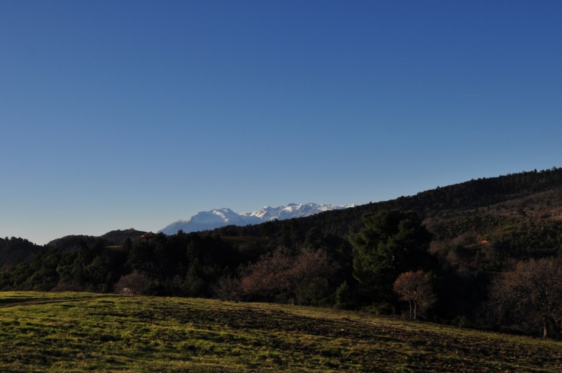 DSC_3055jpg.jpg