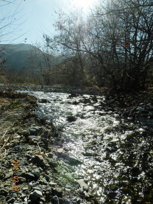 DSCN4084.JPG