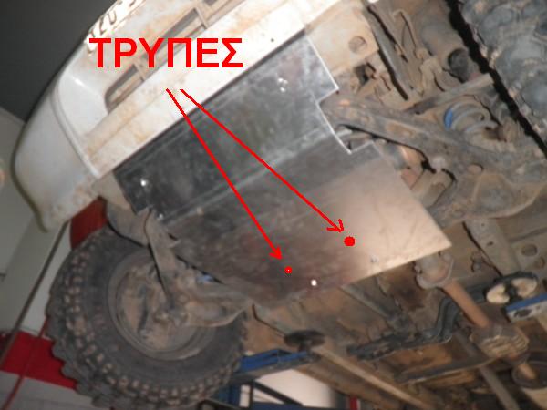 PB030182 (600 x 450).jpg