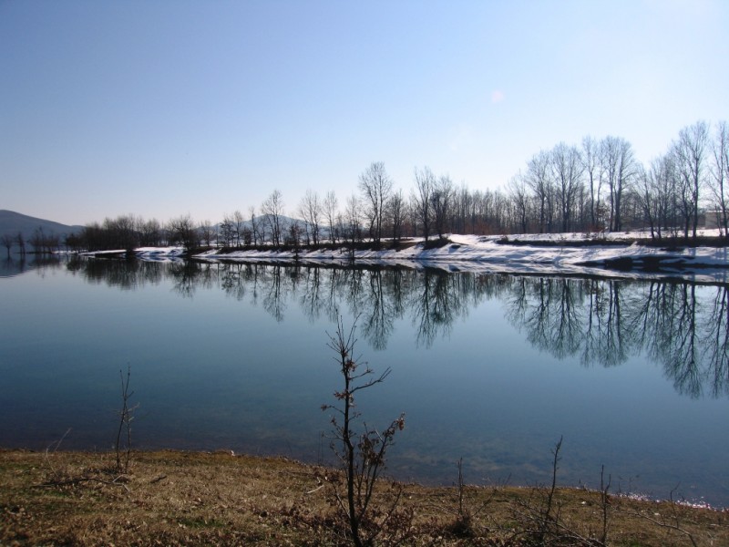 IMG_9821.jpg