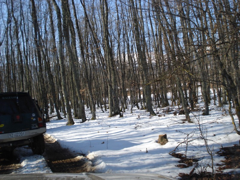 DSC02658.jpg