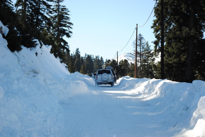 DSC_6107.jpg
