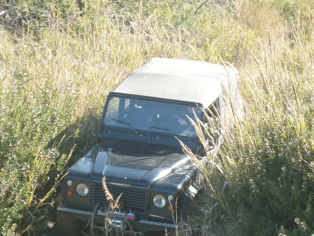 p1010831w.jpg
