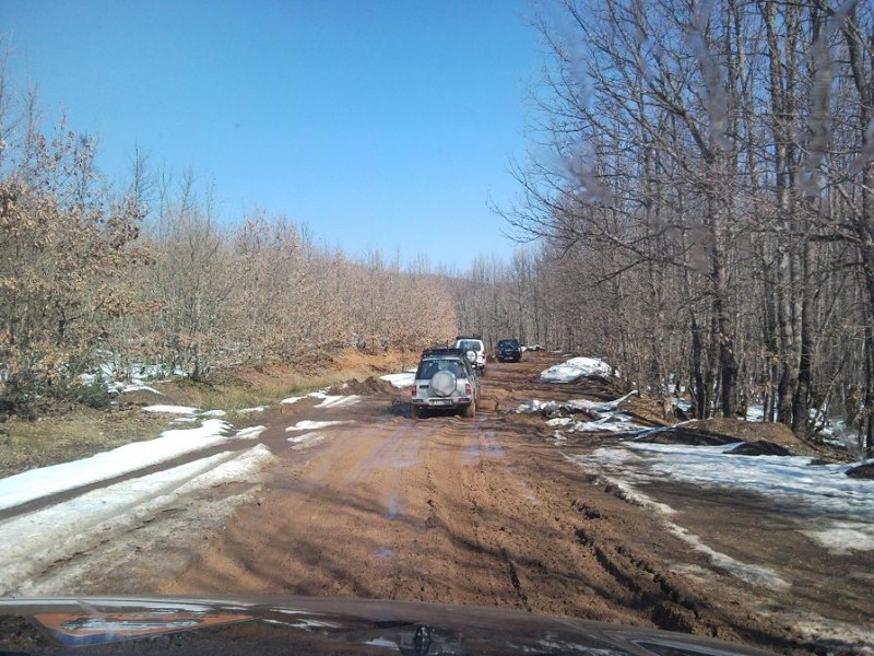 SNC00254.jpg