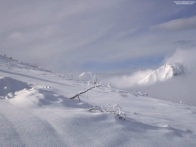 PirinSnow1024x768.jpg