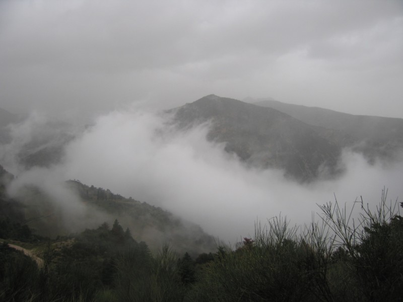 IMG_8091.jpg