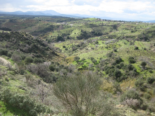 IMG_4770.JPG