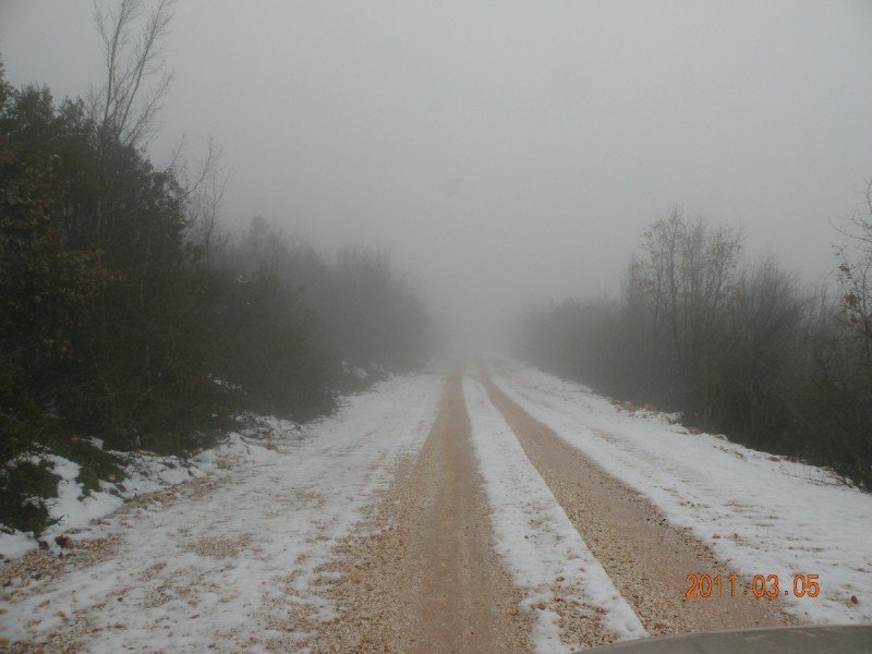 DSCN4133.JPG