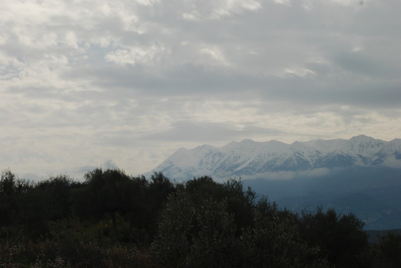 DSC_4921.JPG