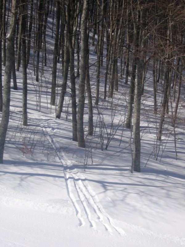 IMG_0175.jpg