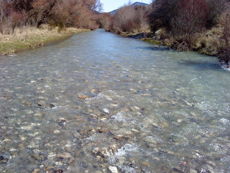 DSC00346.jpg