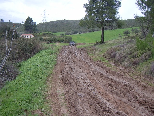 STA50015.JPG