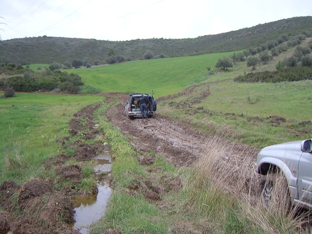STA50016.JPG