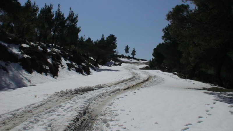 DSC00471.jpg