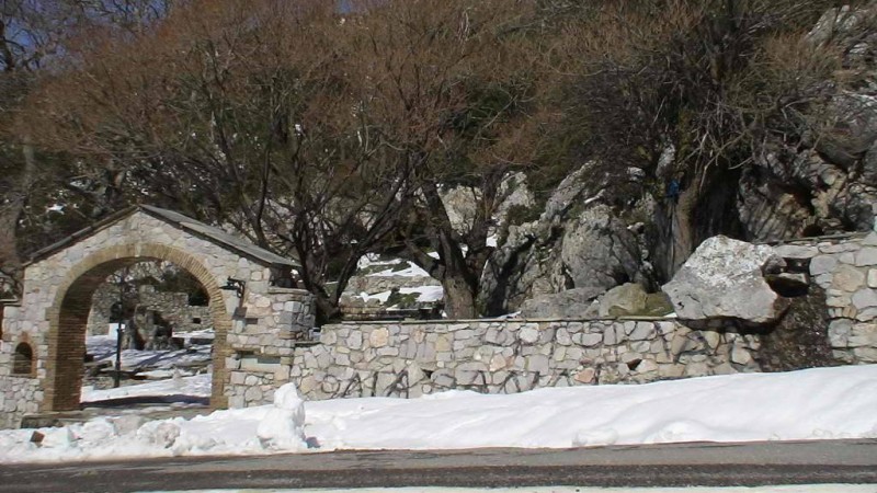 DSC00465.jpg