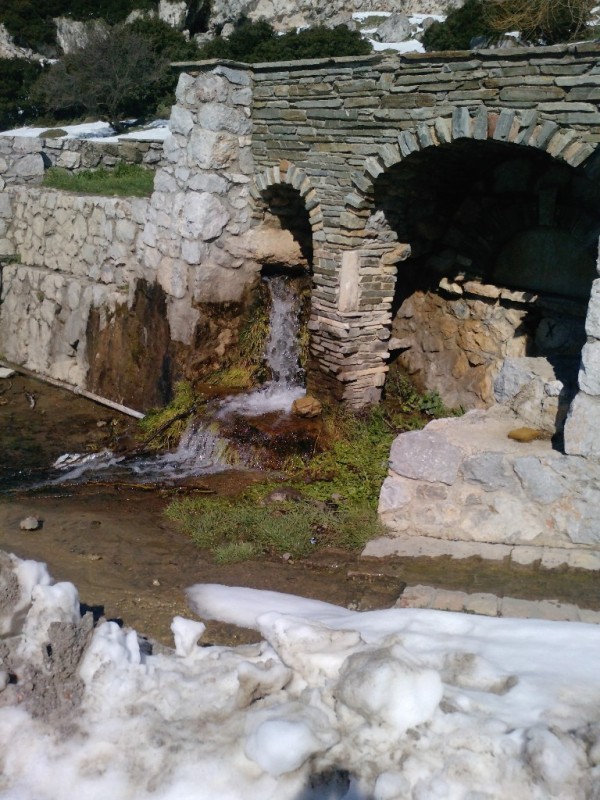 P1051_12-03-11.JPG