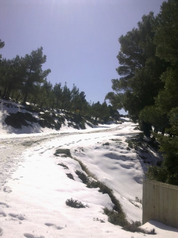 Εικόνα0359.jpg