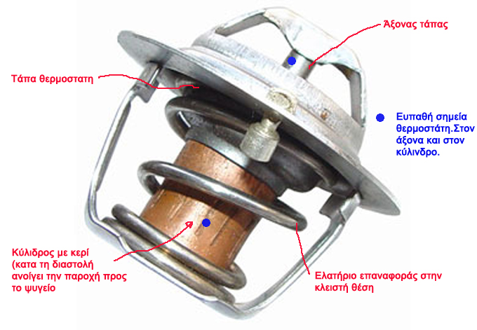 serv02.jpg