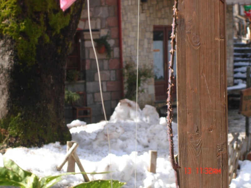 DSC07917.JPG