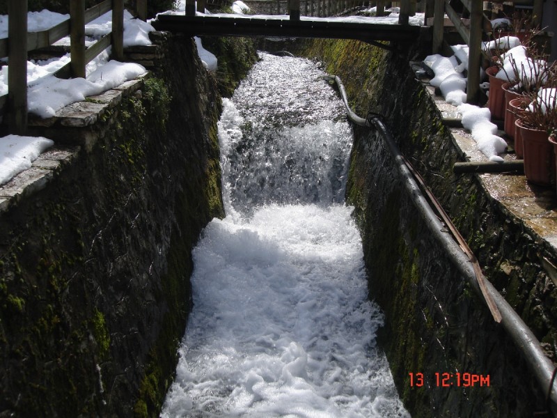 DSC07921.JPG