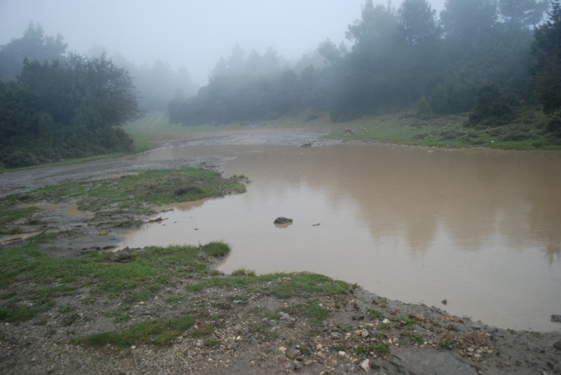 DSC_5320.JPG